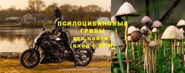 эйфоретик Балахна
