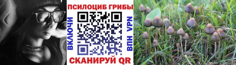 hydra зеркало  Урус-Мартан  Псилоцибиновые грибы MAGIC MUSHROOMS 